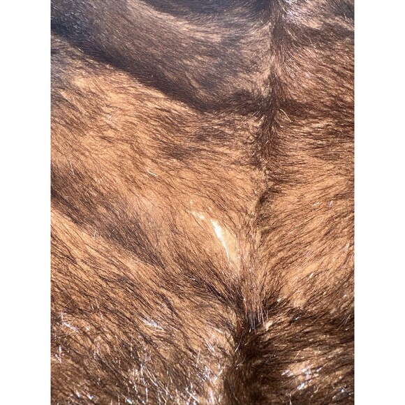 Vintage 20's Evans Chicago Fur Mink Stole Collar Wrap Shawl Camel Fully Lined - Picture 13 of 15